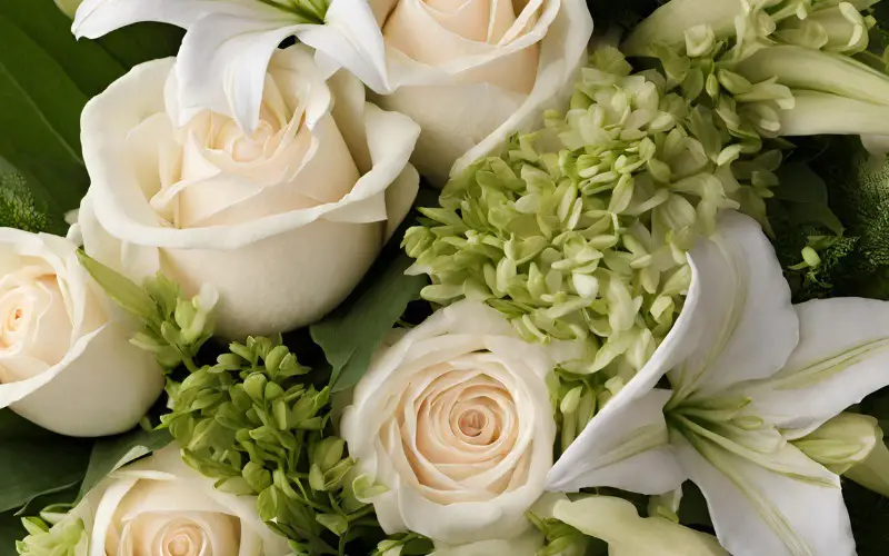 Baker Florist Flower Delivery Dover, OH Florist Dover, OH